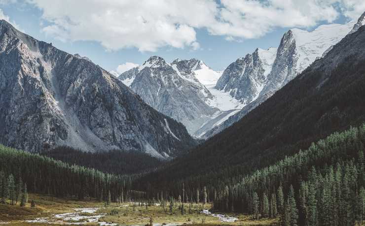 葡萄牙队球员是否希望C罗征战2026世界杯? 葡萄牙队球员是否希望C罗征战2026世界杯?